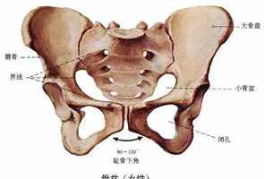 身体发黄光佛教 整个身体发黄是哪个器官出问题