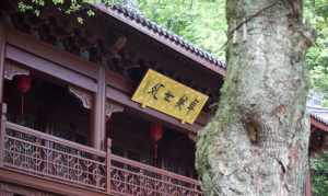 南安灵隐寺历史 灵隐寺延寿法师