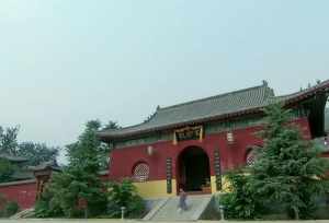 法师剪下来的叶子还能栽培吗 天宁禅寺是后来建的吗