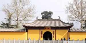 邢台玉泉寺主持 邢台玉泉寺崇佩法师