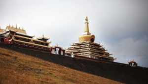 岱山佛教历史 岱山寺庙