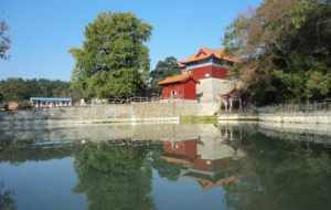 郯城清泉寺法师简介 郯城清泉寺法师