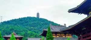 灵隐寺圣辉法师 圣灵禅寺