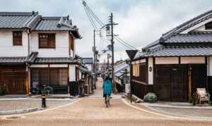 日本奈良时期佛教 日本奈良的寺庙