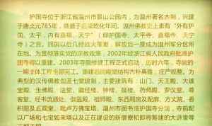 学佛答问定弘法师 定弘法师问答全集