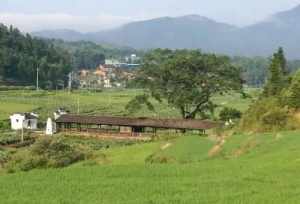 瑞岩禅寺道航法师 武夷山瑞岩禅寺道航法师