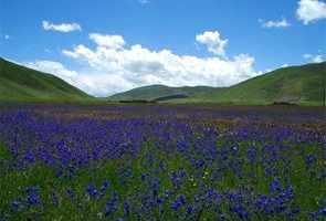 川藏公路最高的山峰 藏川最高最高佛教