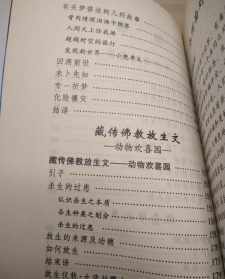 作文关于珍惜佛教法器 关于佛法的文章