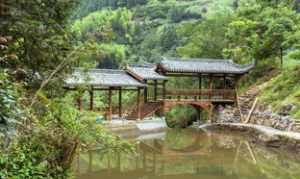 佛教东天目山在哪里 东天目山著名寺庙