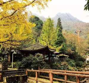 都江堰寺庙名气最大 成江堰附近佛教