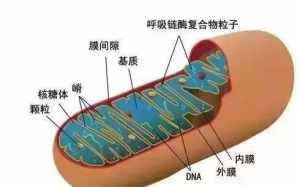 佛教讲地震的原因 佛教讲地震