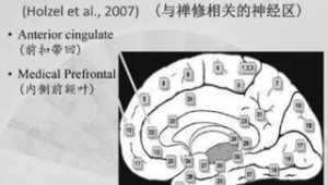 佛教大脑叫什么 佛教大脑