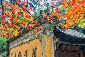 东林寺德凯法师介绍 东林寺德凯法师几岁