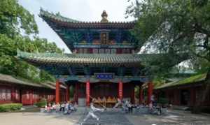 宗泽法师至相寺 宗泽祠堂游记