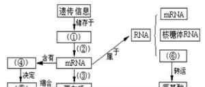 佛教中经的四种意思 佛教中径的定义