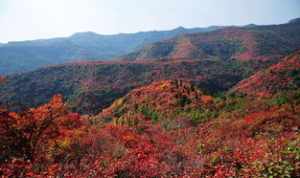 香山有佛教吗 香山有什么寺