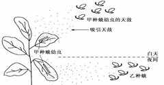 佛教的物质载体 佛教物种也是可以变化的