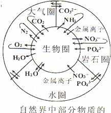 佛教的物质载体 佛教物种也是可以变化的