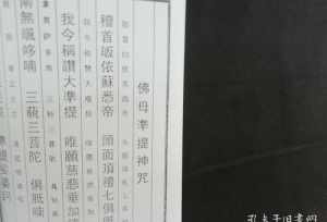 谛闲法师讲解楞严经 谛闲法师讲