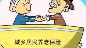 根据本讲养老保险的问题不包括 法师讲养老保险