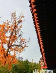 枣庄市中区甘泉寺门票 枣庄甘泉禅寺惟正法师