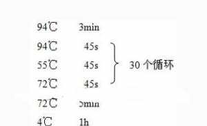 狐臭佛经上怎么说 佛教解释狐臭女人