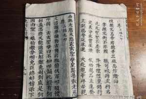 魔域法师带哪三个宝宝 开愿法师