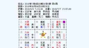 八字十二宫排盘详解 八字十二宫排盘详解大全