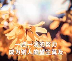 李叔同经典语录人生不过相识一场 原神灵宝赠予有缘人任务怎么完成