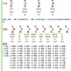 图解常用八字排盘法书 图解常用八字排盘法书