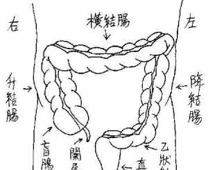 佛教由上而下 由上而下什么意思