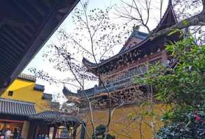 青檀寺依佛教 青檀寺开放时间