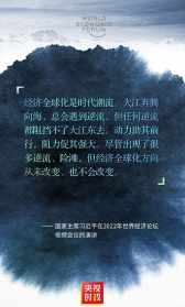 界诠法师讲戒律视频 界诠法师讲法