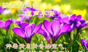 佛教对师父的问候的语言 佛教祝福师父吉祥语大全