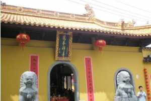 龙须禅寺妙来法师 龙须禅寺妙来法师简介