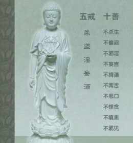 佛照法师 玫瑰法师的养殖方法