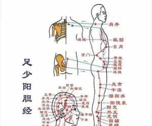 佛教如何看待十二生肖的存在 佛教如何看待十二生肖