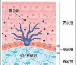 朔州佛教师傅施范贤简介 朔州佛教师傅施范贤