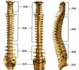 佛教开示腰椎 佛家治疗腰椎盘突出的咒语