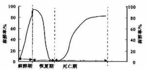 鬼火是怎样形成的?佛学解释 鬼火的佛教解释