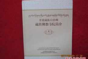 藏传佛教调研报告格式模板 藏传佛教调研报告