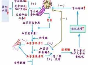 脂类代谢异常引起的疾病? 脂类代谢的佛教原因