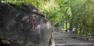 崂山佛教的三大寺院 崂山佛教历史文化