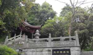 灵光寺明智法师 灵光寺明智法师简历