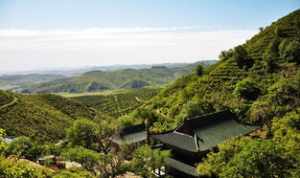 赤峰香山寺联系电话 赤峰香山寺法师电话