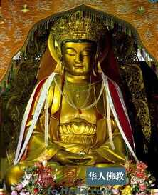 宁波挂地藏感应匾额的寺庙 你如何认识佛教的呢