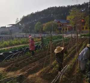 浠水县名胜古迹 浠水县佛教寺庙有哪些