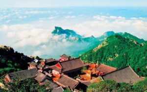 山东泰安寺院 泰安佛教会在哪