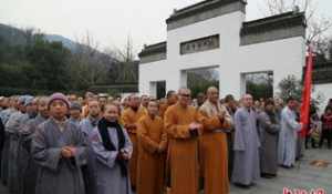 佛寺院法师联系方式是什么 佛寺院法师联系方式