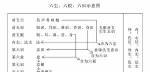 佛教的六尘绕中尘 佛教的六尘